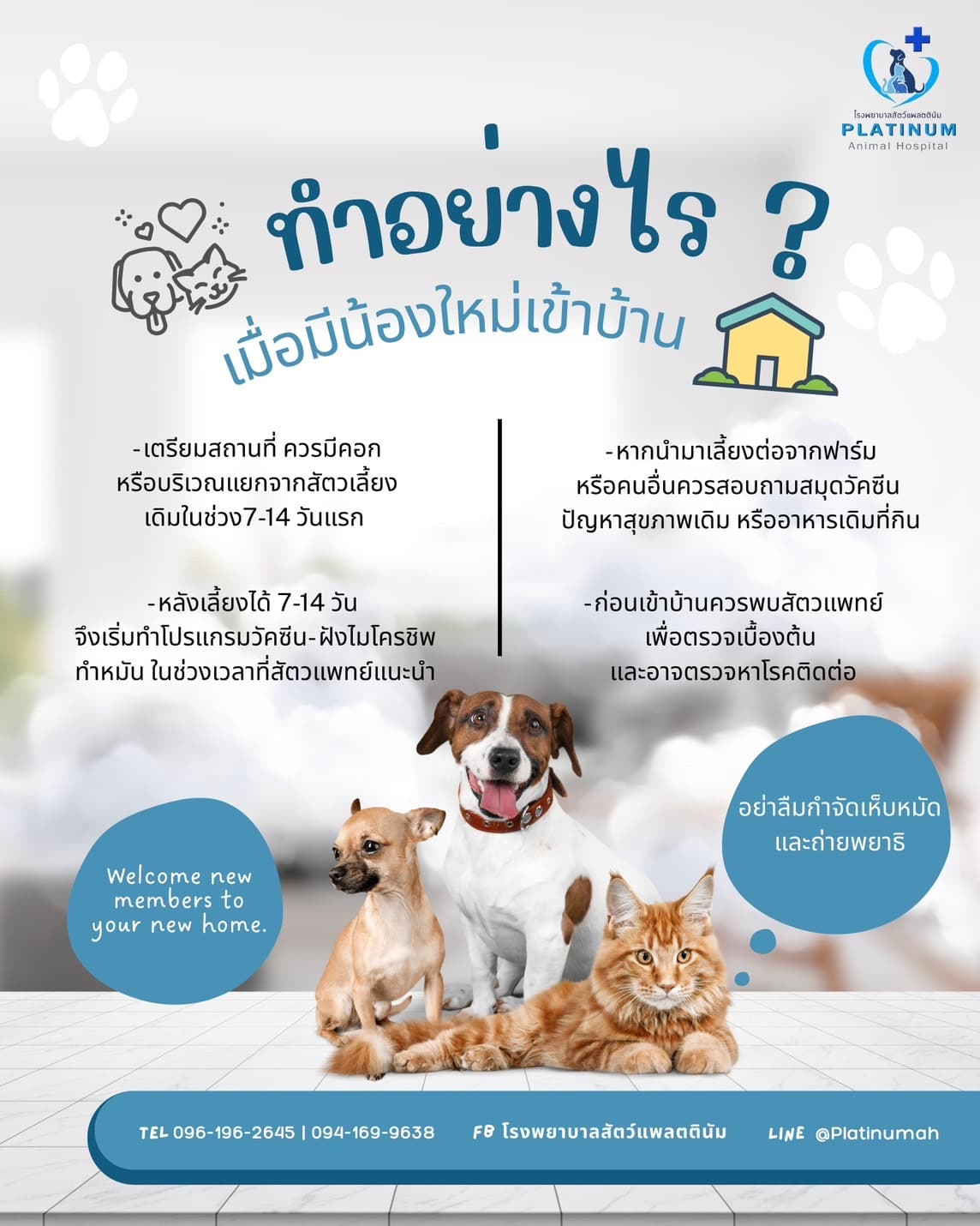 FAQ รูปที่ 1
